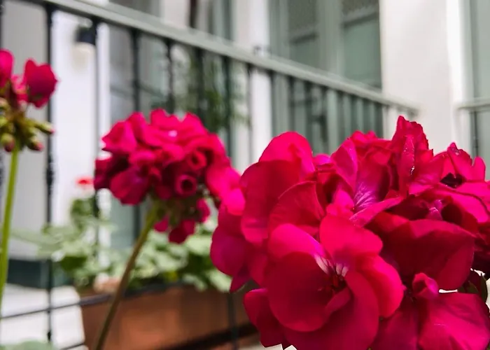 La Gitanilla & Encanto Jerez Couette-café Jerez de la Frontera