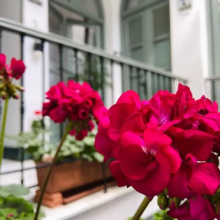 La Gitanilla & Encanto Jerez B&B 헤레스