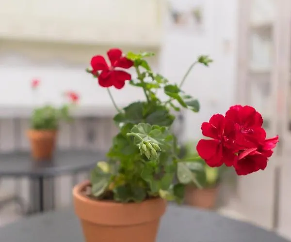 La Gitanilla & Encanto Jerez 4* Jerez de la Frontera