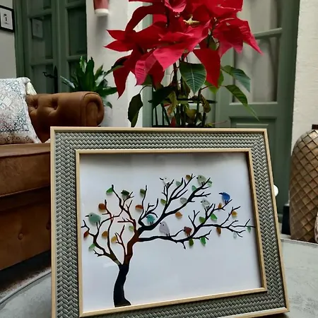 Bed & Breakfast La Gitanilla & Encanto Jerez