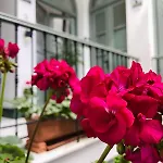 La Gitanilla & Encanto Jerez Bed & Breakfast Jerez de la Frontera